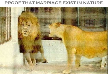 Marriage in Nature
